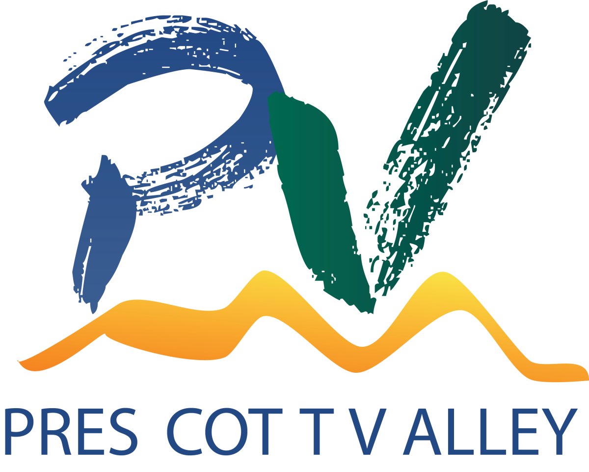 Paradise Valley Logo